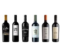 Malbec Wine Selection (6 bottles of Malbec) by Winedimensions