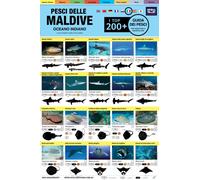 Maldive Guida Dei Pesci : I Top 200+ (Italian)