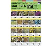 Maldives Marine Life Field Guide: "Top 200+"