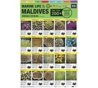 Maldives Marine Life Field Guide: Top 200 by Tim Godfrey | Paperback | 2017
