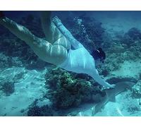 Maldives - Part 2: Petting Sharks And Dining Underwater