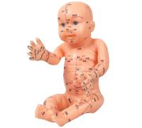 Male Acupuncture Massage Model,Children Acupuncture Massage Model,Acupuncture Model Children Massage Model Pediatric Training Doll Acupoint Children Model