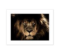 Male African Lion Face Cat Canvas Wall Art Print