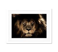 Male African Lion Face Cat Large Art Print Poster Wall Decor 18x24 inch Supplied Ready To Hang With Included Mount Brackets