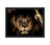 Male African Lion Face Cat Large Framed Art Print Poster Wall Decor 18x24 inch