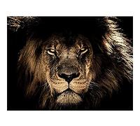 Male African Lion Face Cat Wall Art Print