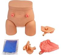 Male and Female Manikin Urinary Catheterization Model Nursing Practice Simulator Interchangeable Mannequin for Nursing Medical Training