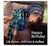 Male Birthday Card for Him - Funny/Humorous Dog Design - Lie Down, Chill Out & Relax - Made in the UK - Eco-Friendly