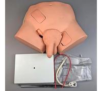 Male Catheter Insertion Model,Human Reproductive System Model,Male Catheterization Anatomy Model,Teaching Practice Training Model,41 * 35 * 26Cm