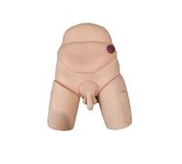 Male Catheterization Training Manikin, For Students Nursing Education Teaching Medical Training Skills