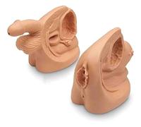 Male Female Catheter Models, Anatomy Catheterization Internal External Genital Urinary Manikin Simulator for Learning Training