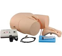 Male & Female Interchangeable Catheterization Model - Nursing Practice Urinary Catheter Training Simulator Kit, PVC Material, Urethral Catheter Manikin for Students & Nurses