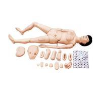 Male Female Nursing Manikin Geriatric Training Manikin Multi Functional Patient Care Skills Mannequin With Interchangeable Genitals Bedsore Modules For Teaching Pratice(Female)
