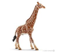 Male Giraffe -1 Figurine