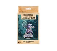 Male Human Wizard: Pathfinder Legendary Cuts (W2A)