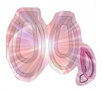 Male Portable Protection Fufu Clips, 2 Different Sizes Protection Cage Accessories for Men -UKHA24 (White)