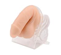 Male Reproductive Organs Educational Model - Silicone Simulation for Tattoo, Suture, and Piercing Practice