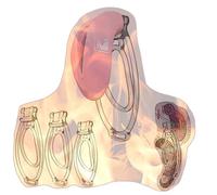 Male Soft Cover Cross Dressing Protective Cage with 3 Fufu Clips Strengthening Set -A28UK (Pink)