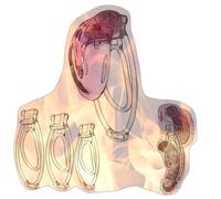 Male Soft Cover Cross Dressing Protective Cage with 3 Fufu Clips Strengthening Set -A28UK (Pink Transparent)