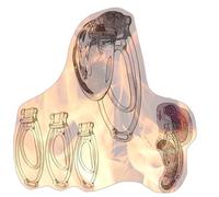 Male Soft Cover Cross Dressing Protective Cage with 3 Fufu Clips Strengthening Set -A28UK (Transparent)