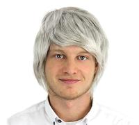 Male Wig Fancy Dress Accessory Boy Band Synthetic Short Hair Boy Band Adult Mens 90s Pop Grey