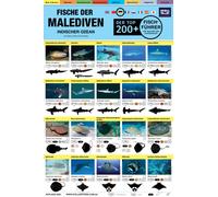 Malediven Fisch-Feldfuhrer : Der Top 200+ (German)