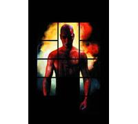 Maleev, Alex - Daredevil Volume 6 HC (Daredevil, 6)
