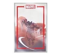 Maleev, Alex - The Marvel Portfolio of Alex Maleev: The Marvel Universe