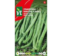Malines' Beans - Older variety with flattened pods, but appetizing and productive - 50 g - Seeds per gram: 4