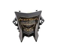 MALIYAE Starter For S1000RR For S 1000 RR 2009-2018 For 1000R 2014-2017 Motorcycle LED Rear Tail Light Turn Taillight(Color-041)