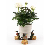 Mallard Duck Plant Pot Feet - Set Of 3
