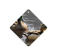 (mallard duck) Printed Paper Car Air Freshener Lavender Scented Hanging Odor Remover 10/40/100 Pcs for Vehicle Home Closet Wardrobe - Square