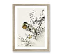Mallard Duck & Willow By Numata Kashu Asian Japanese Framed Wall Art Print, Ready to Hang Picture for Living Room Bedroom Home Office Décor, Oak A4 (34 x 25 cm)