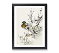 Mallard Duck & Willow By Numata Kashu Asian Japanese Framed Wall Art Print, Ready to Hang Picture for Living Room Bedroom Home Office Décor, Black A4 (34 x 25 cm)