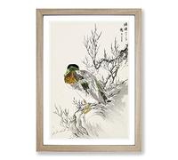 Mallard Duck & Willow by Numata Kashu Framed Print | A2 Oak Framed Wall Art | Ready to Hang | Modern Animal Picture | Living Room Bedroom Lounge Office