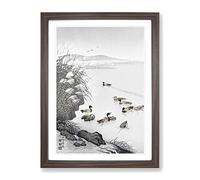 Mallard Ducks In The Water By Ohara Koson Asian Japanese Framed Print | A4 Walnut Framed Wall Art | Ready to Hang | Asian Animal Picture | Living Room Bedroom Lounge Office