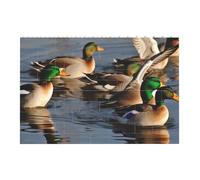 Mallard Ducks Printed Jigsaw Puzzle 14.4x9.8 CM, Rectangular Puzzle Challenging Game for Adults Gifts, Family Fun Decorative Wall Decor