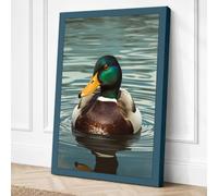 Mallard on Still Water Canvas Wall Art Print 18x12 Inch (46 x 30 cm)