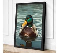 Mallard on Still Water Canvas Wall Art Print 18x12 Inch (46 x 30 cm)