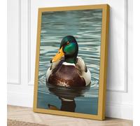 Mallard on Still Water Canvas Wall Art Print 18x12 Inch (46 x 30 cm)