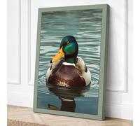 Mallard on Still Water Canvas Wall Art Print 18x12 Inch (46 x 30 cm)