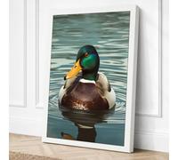 Mallard on Still Water Canvas Wall Art Print 18x12 Inch (46 x 30 cm)