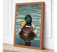 Mallard on Still Water Canvas Wall Art Print 36x24 Inch (91 x 61 cm)