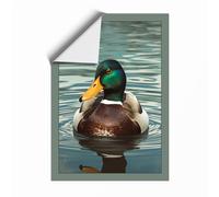 Mallard on Still Water Coastal Unframed Wall Art Print A1 (84.1×59.4cm), Wall Decor for Living Room, Bedroom, Office & Home, Art Gift
