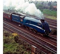 Mallard Train Greeting Sound Card by Really Wild Card