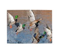 Mallards Duck Hunting Mallard Ducks,500 Pieces Puzzles for Adults-Wooden Jigsaw Puzzle for Adults Elderly