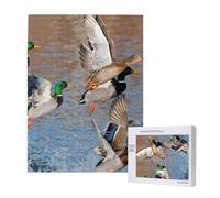 Mallards Duck Hunting Mallard Ducks,500 Pieces Wooden Jigsaw Family Game Jigsaw Puzzles for Adults Teens