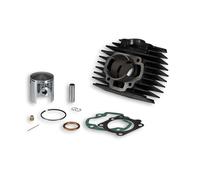 MALOSSI Cylinder Kit Ø 45,5 Cast Iron