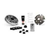 MALOSSI Multivar 2000 Variator