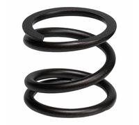 Malossi Vespa 2919858b Clutch Spring Kit